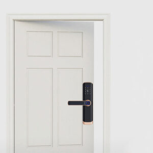 handle fingerprint smart lock