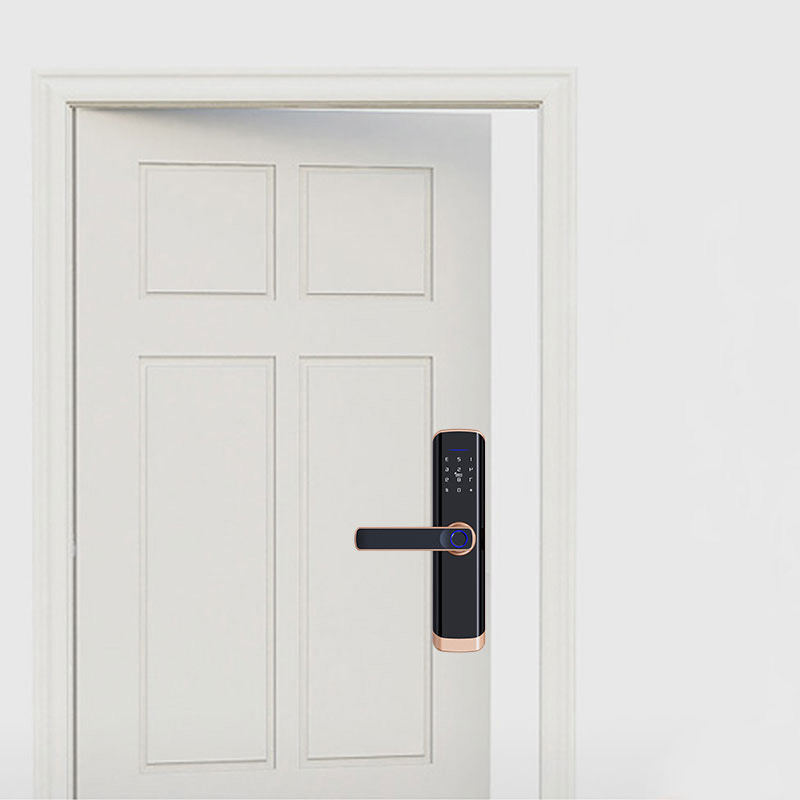 handle fingerprint smart lock