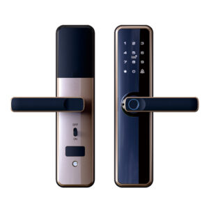 keyless handle smart lock