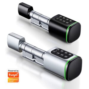 intelligent cylinder lock with tuya ttlock